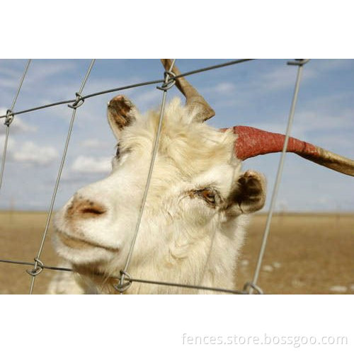 single strand barbed wire farm fence supplier